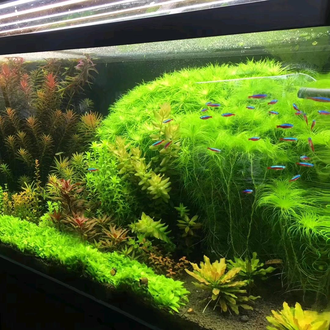 👑👑简·单💫💫