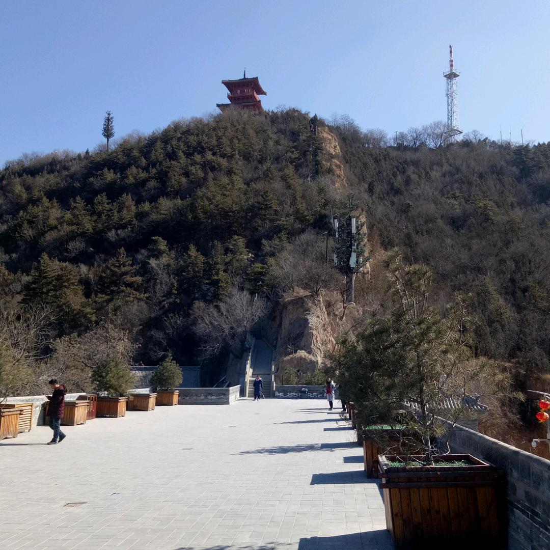 人生疯狂我是傻强
