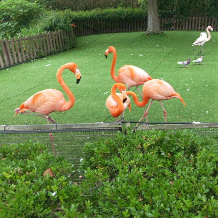 白天不懂夜的黑。