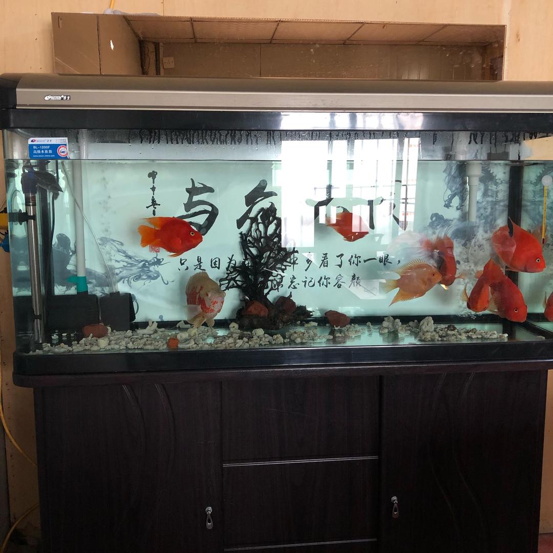 亿信机械⚙️二手注塑机设备买卖