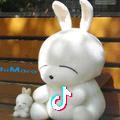 Jdong