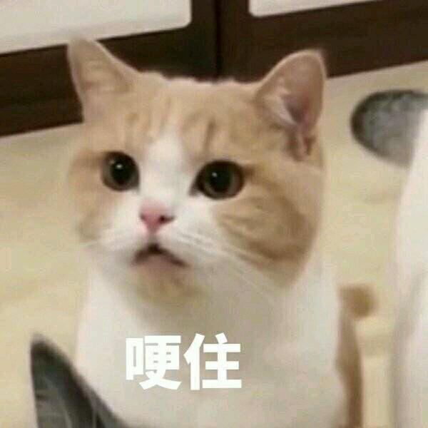 我的开心由你来