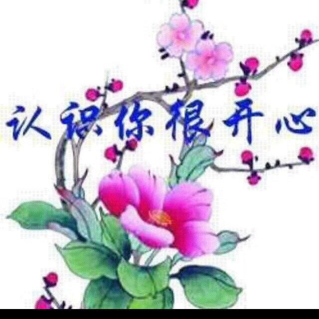 晴天2096316