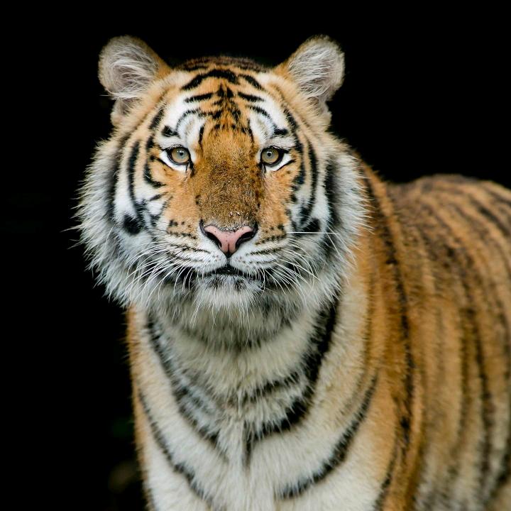 海门市和气床上用品厂