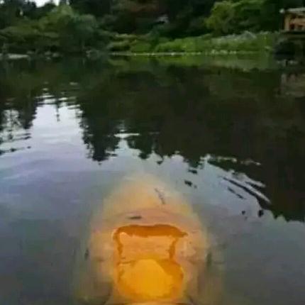 户外游龙