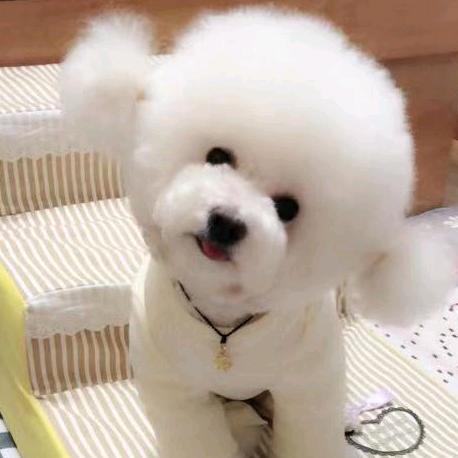 👩毛毛