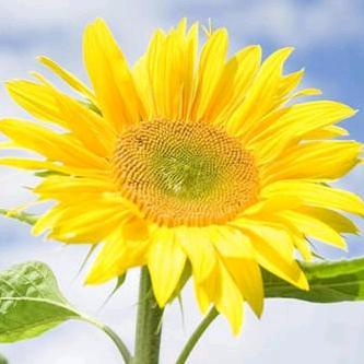 ঞ 好ᨶ႒ᩚ运ᥫᩣ໌້ᮨ加满