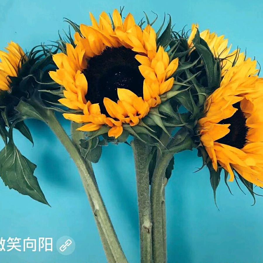 越来越好