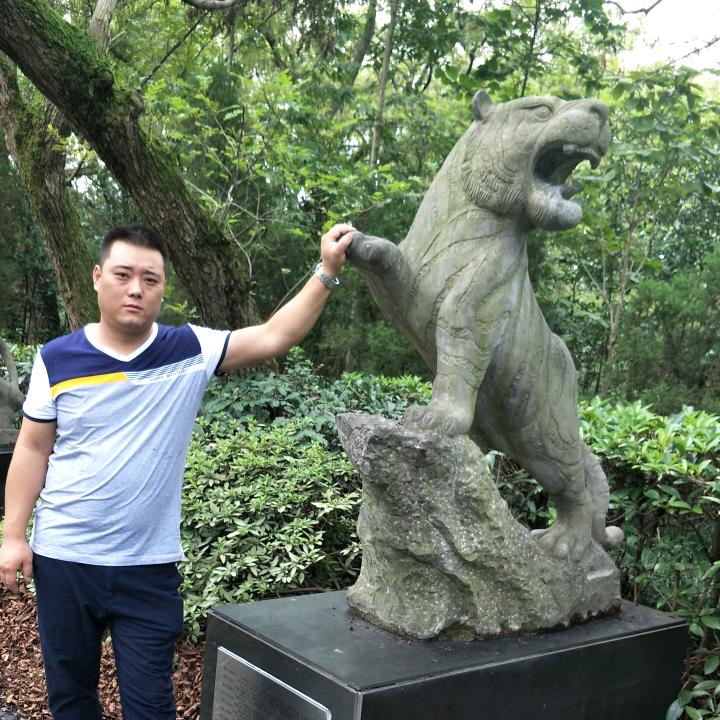 从新开始