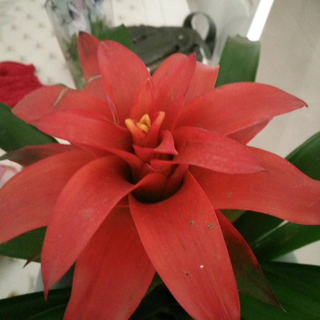 柴油燃烧着青春