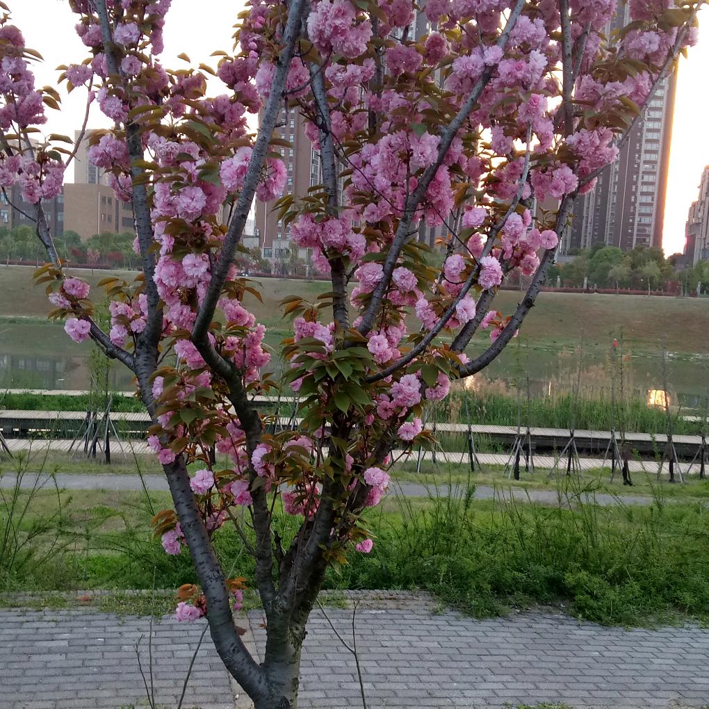 昵称已重置