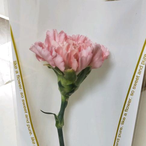 心如芷水