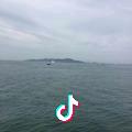 相偎相依