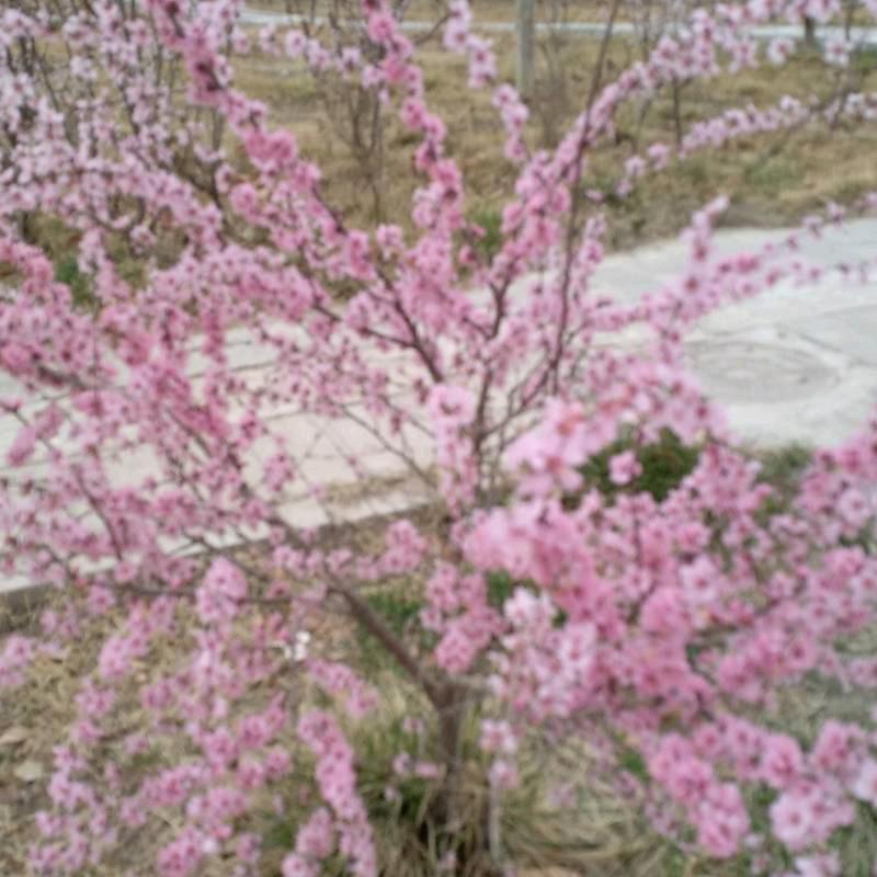 这一辈子 开心快乐