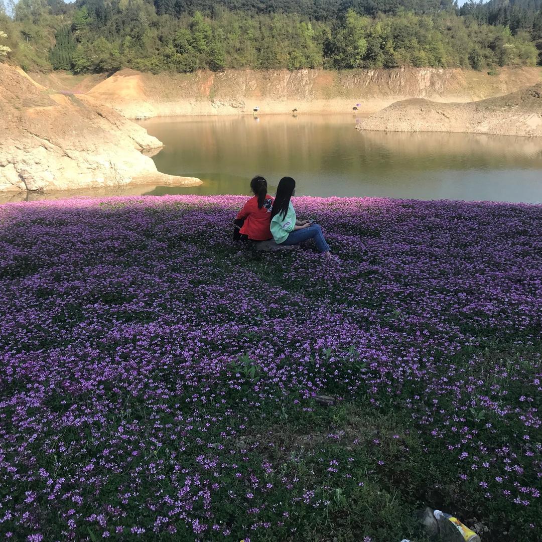 小幸运🌸🌸🌸
