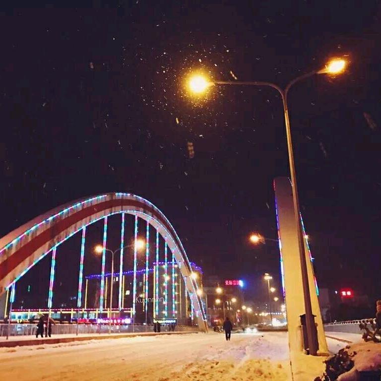 喵皮在工地👷‍♀️