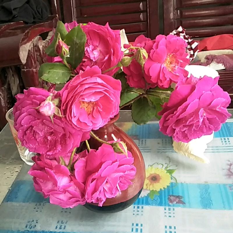 完美结局