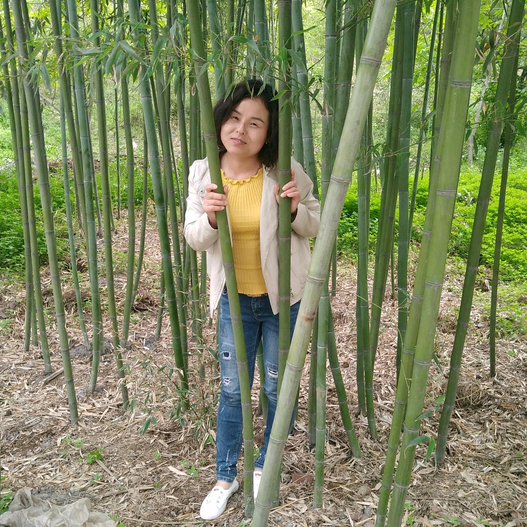 柠檬初夏