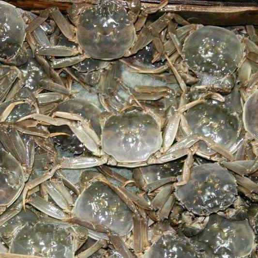 官渡区吕凯水产品经营部