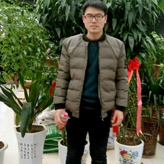 晨星勿语