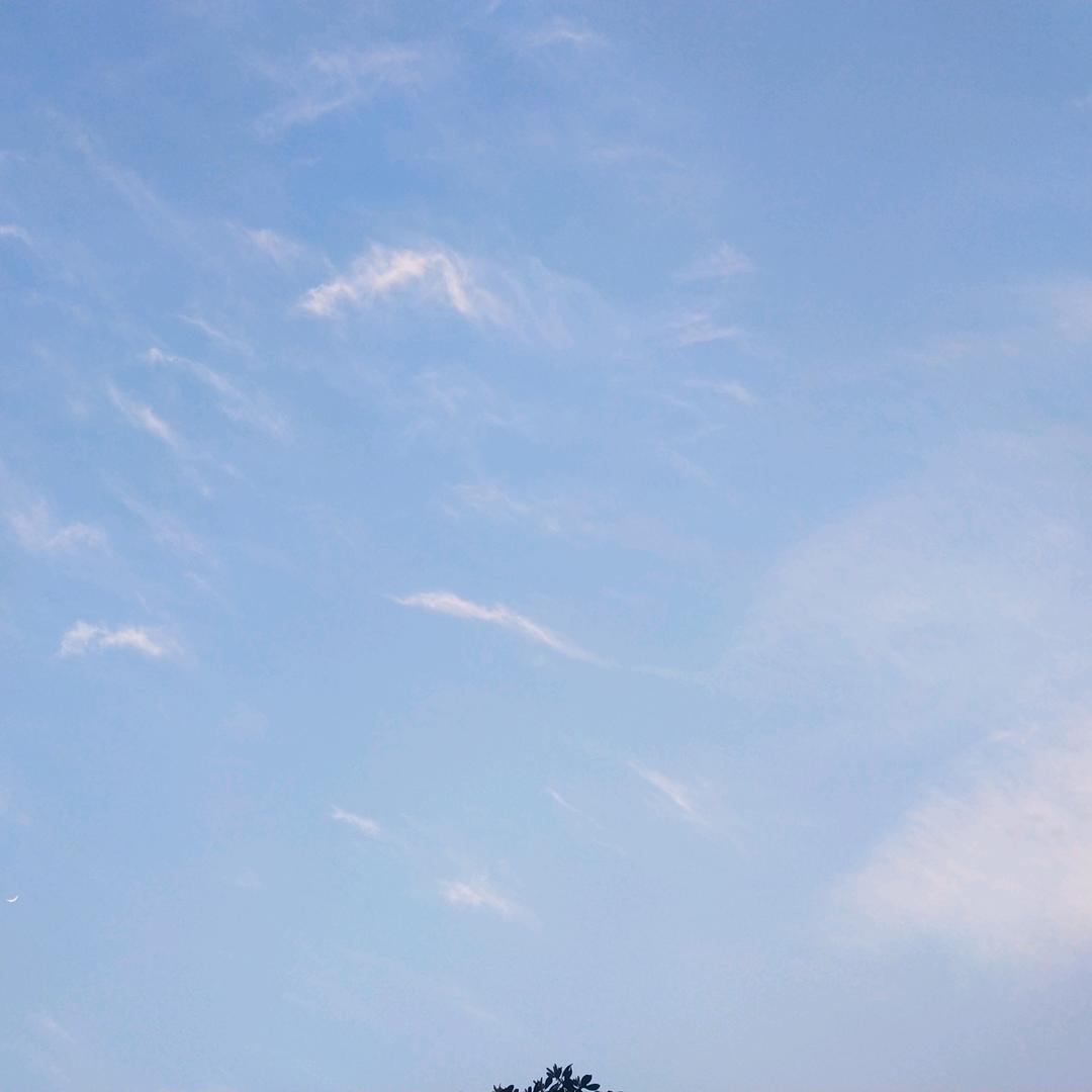 左手边的浪漫