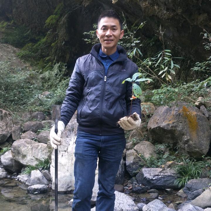 孤帆远影