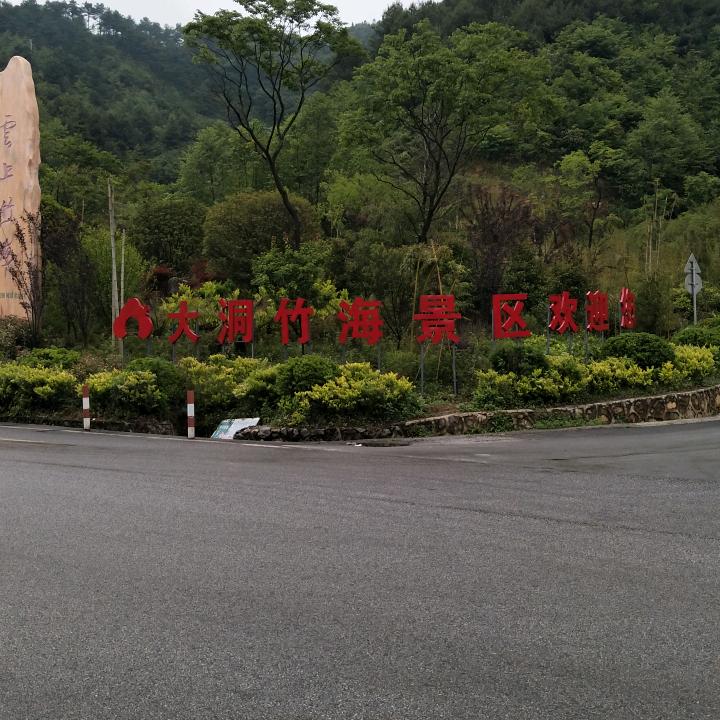 陪你进行到底