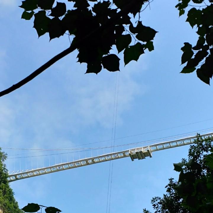 2013
