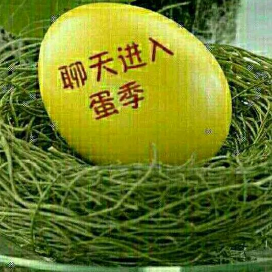 小骆驼