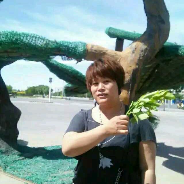 心静如水