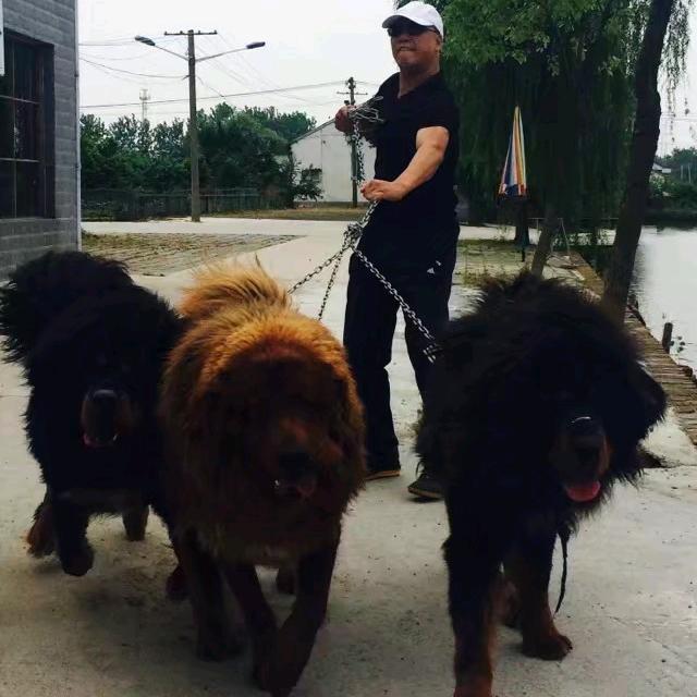 美丽乡村