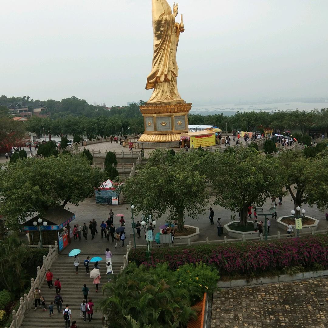 知我心者