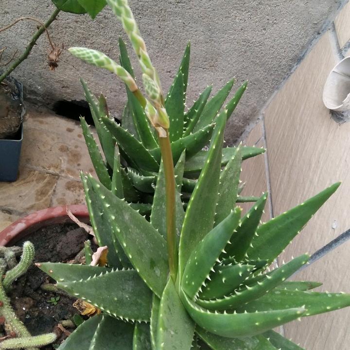 雨后的彩虹