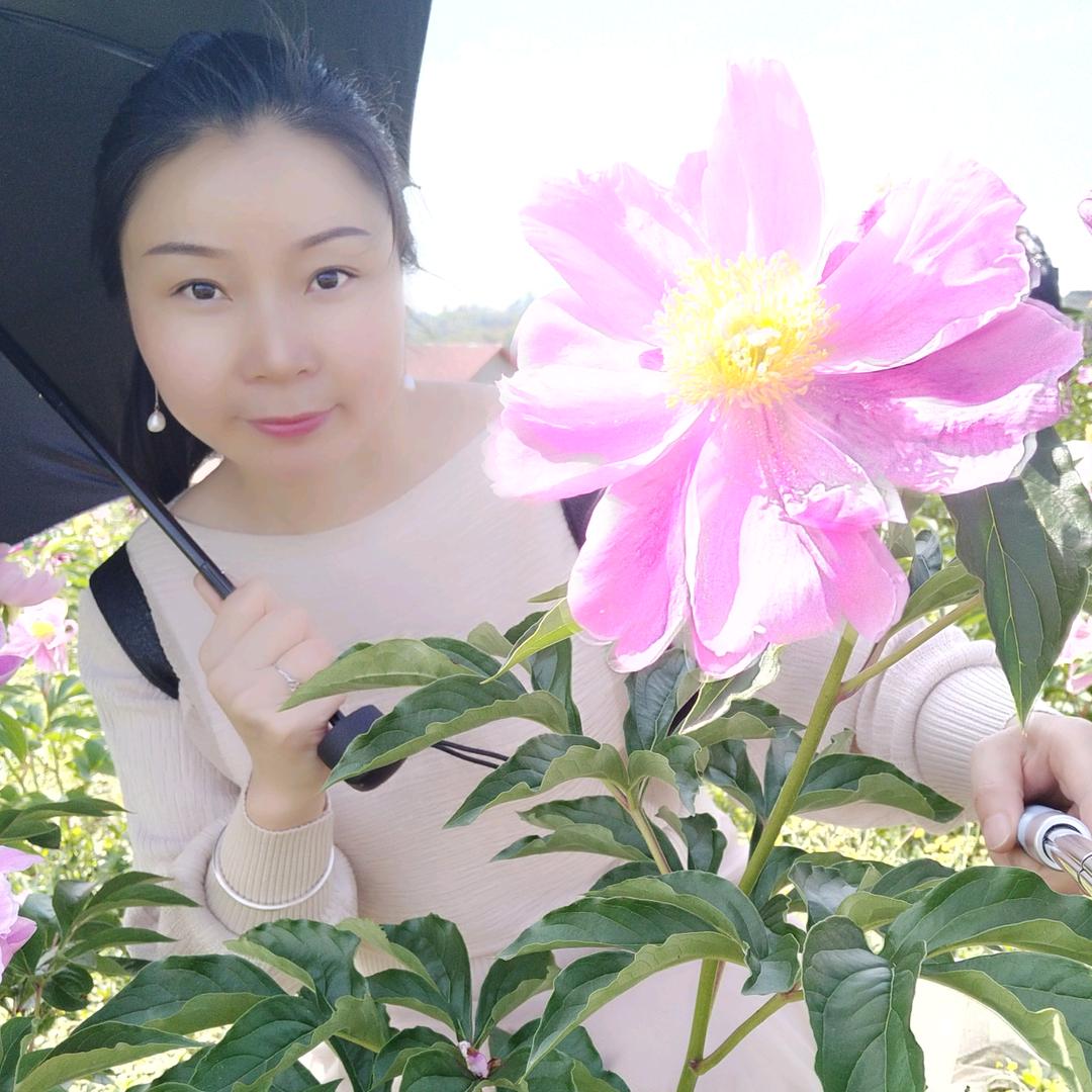 二师兄的小师妹