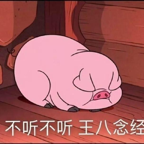 人间小宝贝