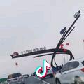 顺其自然