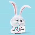 小阿超🍭⁰⁵¹⁷