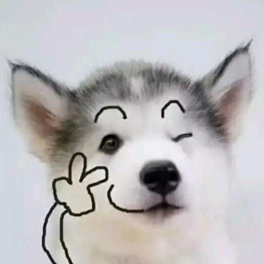 -啊 哈°