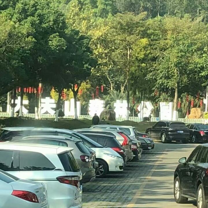 新视野
