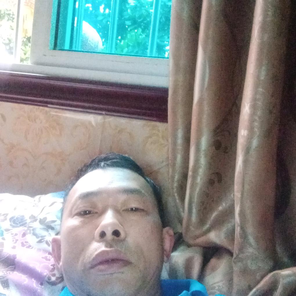 自由飞