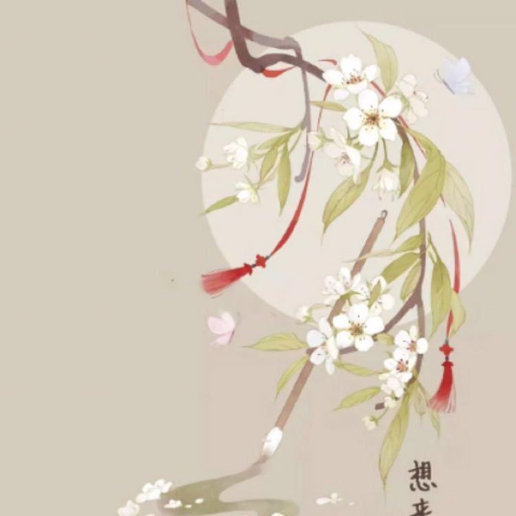 清歌儿
