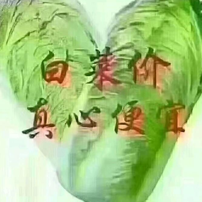 小张同学