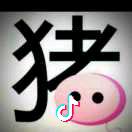 彩通广告