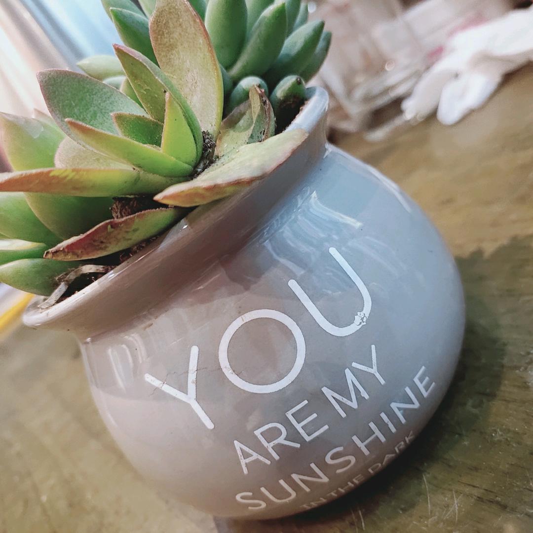 🍀都挺好🍀正在打怪