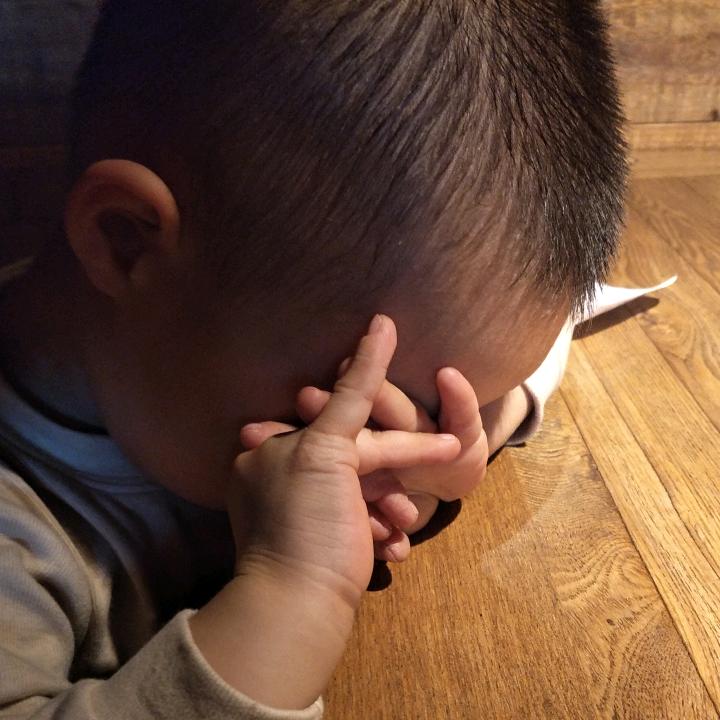 豆鲨包(๓´˘`๓)