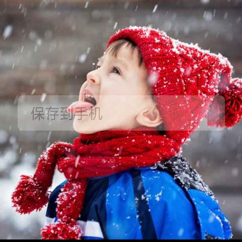 货运大杨哥❤️