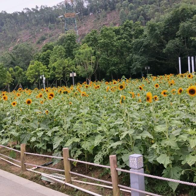 往后余生，善待自己。