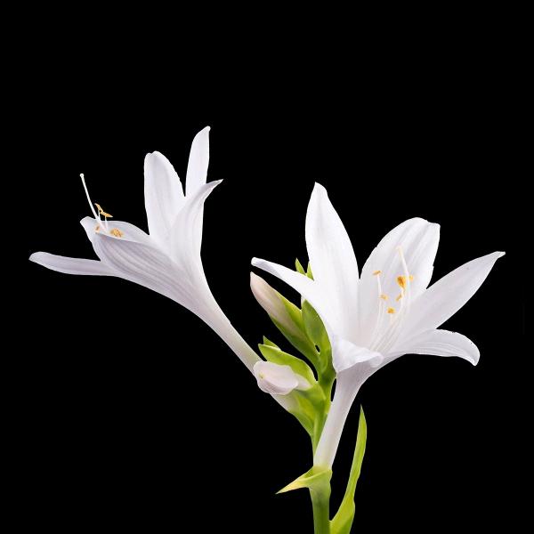 往事不回头，余生不将就！