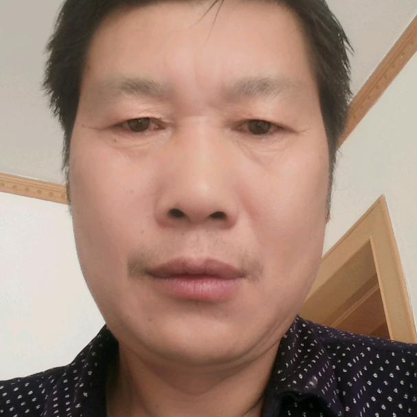 会飞的鱼