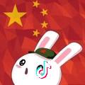 珏胤
